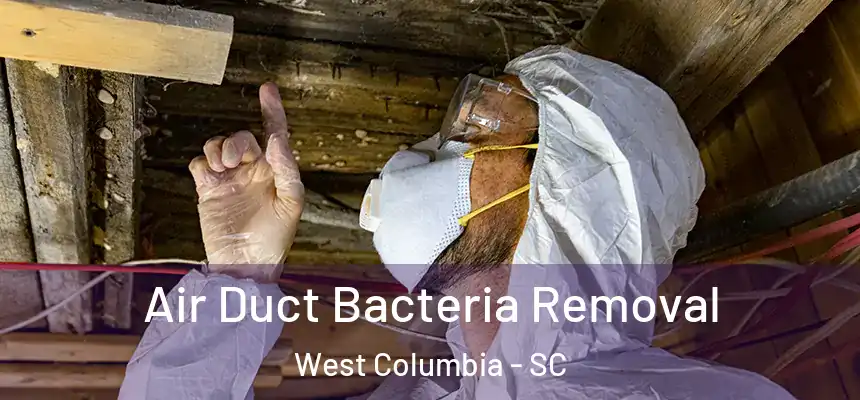 Air Duct Bacteria Removal West Columbia - SC