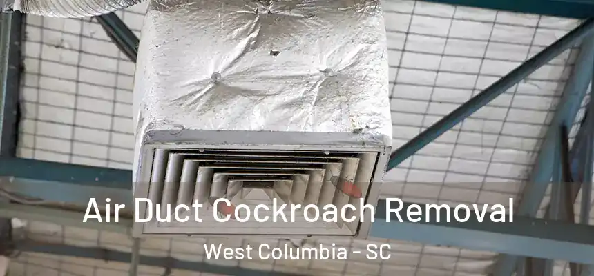 Air Duct Cockroach Removal West Columbia - SC