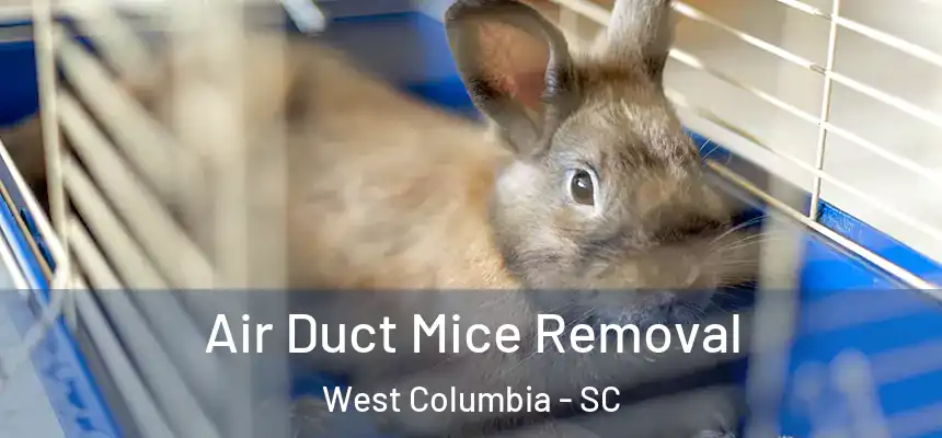 Air Duct Mice Removal West Columbia - SC