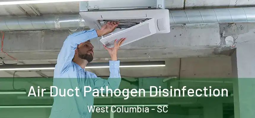 Air Duct Pathogen Disinfection West Columbia - SC