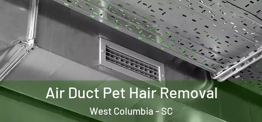 Air Duct Pet Hair Removal West Columbia - SC