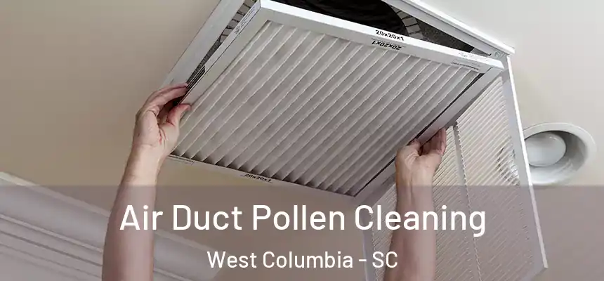 Air Duct Pollen Cleaning West Columbia - SC