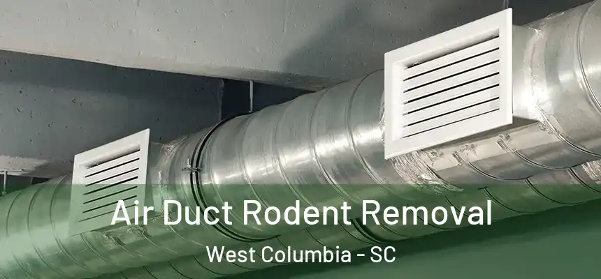 Air Duct Rodent Removal West Columbia - SC