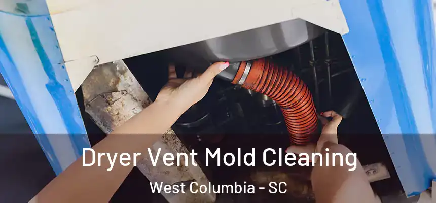 Dryer Vent Mold Cleaning West Columbia - SC