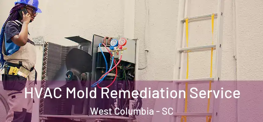 HVAC Mold Remediation Service West Columbia - SC