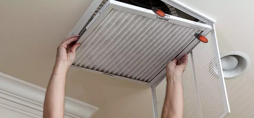 Our Insect Removal from Air Ducts Services in West Columbia, SC
