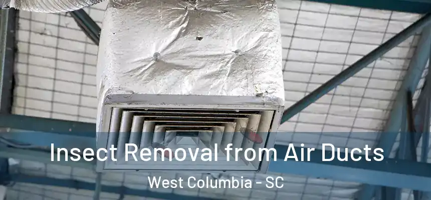 Insect Removal from Air Ducts West Columbia - SC