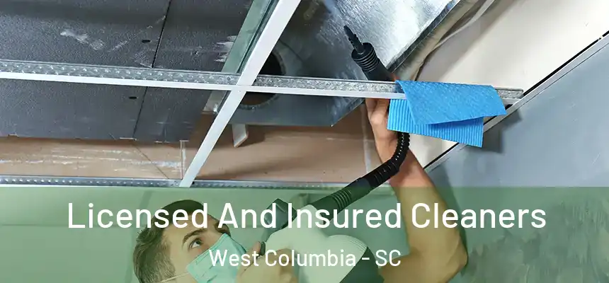 Licensed And Insured Cleaners West Columbia - SC