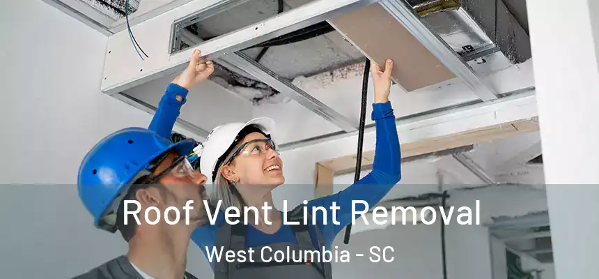 Roof Vent Lint Removal West Columbia - SC