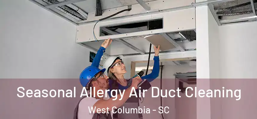 Seasonal Allergy Air Duct Cleaning West Columbia - SC