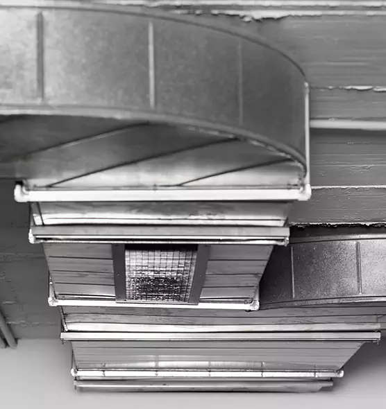 Professional Air Duct Pet Hair Removal in West Columbia, SC