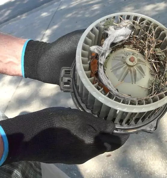 About Air Duct Rat Removal in West Columbia, SC