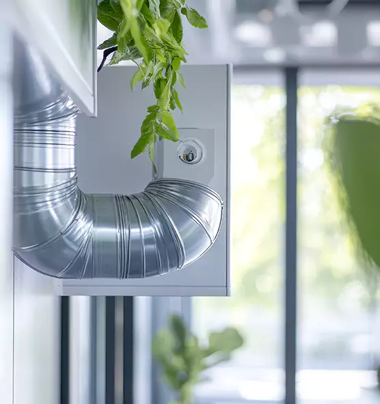 Professional Eco-Safe Dryer Vent Cleaning in West Columbia, SC