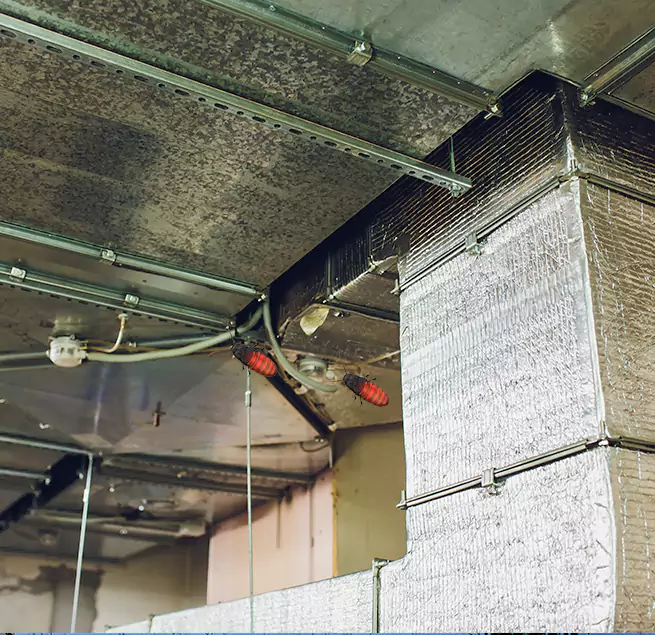 Why Homeowners & Businesses Trust Us in West Columbia, SC?