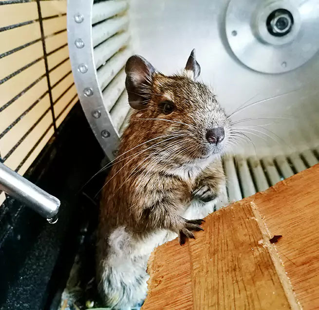 Why Homeowners & Businesses Trust Us West Columbia, SC