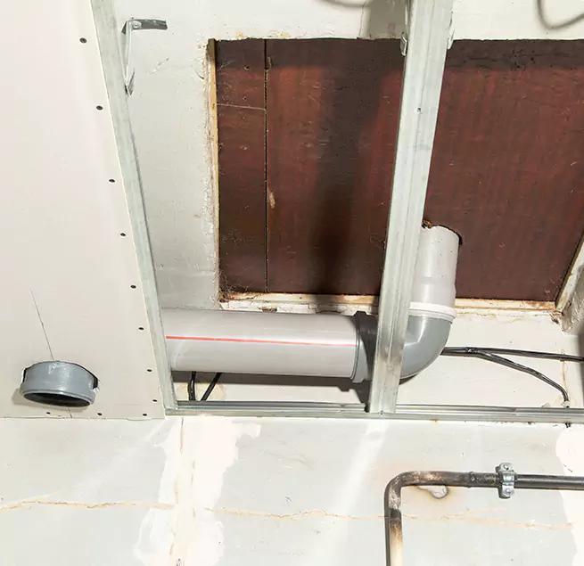 Why Homeowners & Businesses Trust Us in West Columbia, SC?