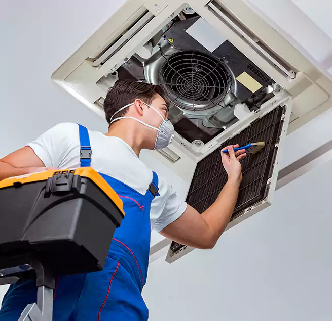 Why Homeowners & Businesses Trust Us in West Columbia, SC?