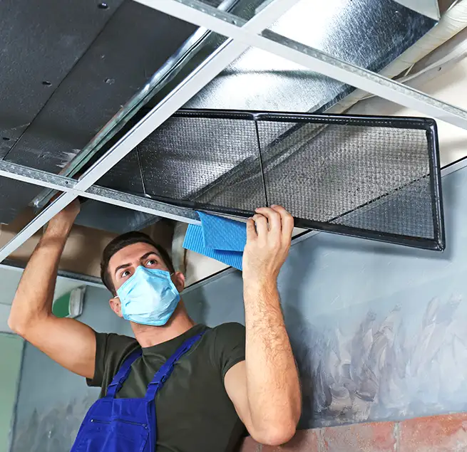 Why Homeowners & Businesses Trust Us in West Columbia, SC?