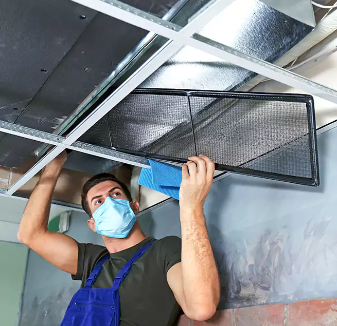 Why Homeowners Businesses Trust Us in West Columbia, SC